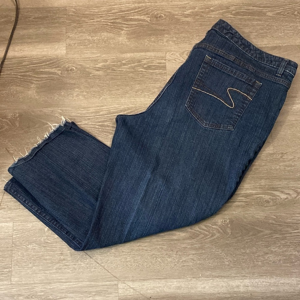 Liz Claiborne Women’s Stretch Extensible Blue Jeans (Size 22W)
